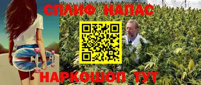 стаф Можга