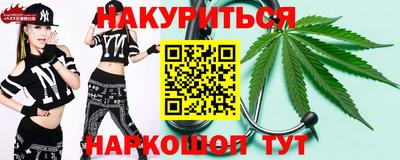 стаф Можга