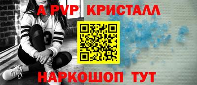 стаф Можга