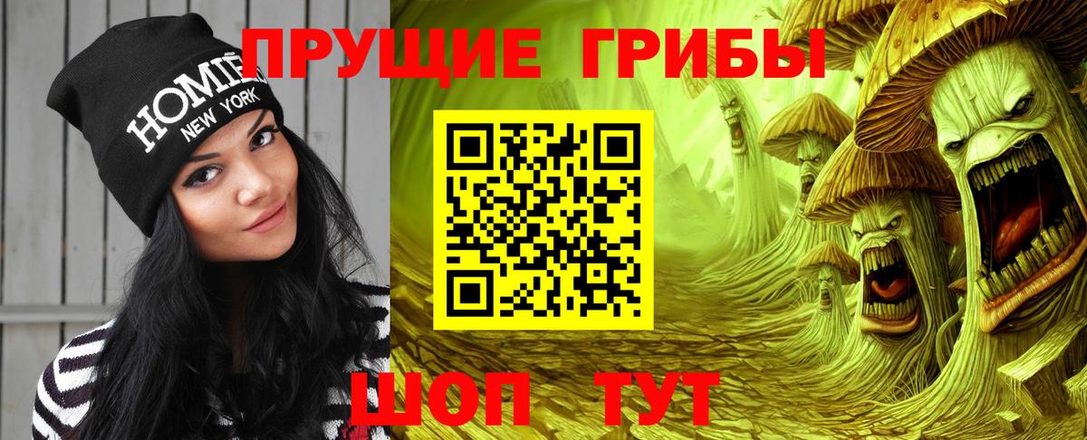 Галлюциногенные грибы Psilocybine cubensis  Вход с VPN  Троицк 