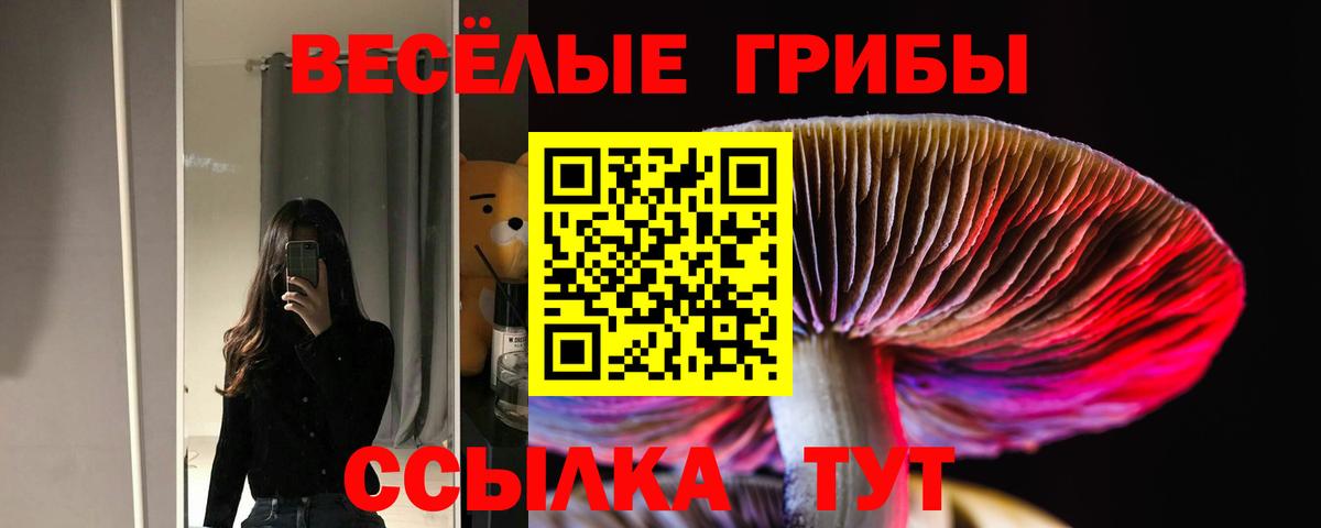 Галлюциногенные грибы Psilocybine cubensis Троицк